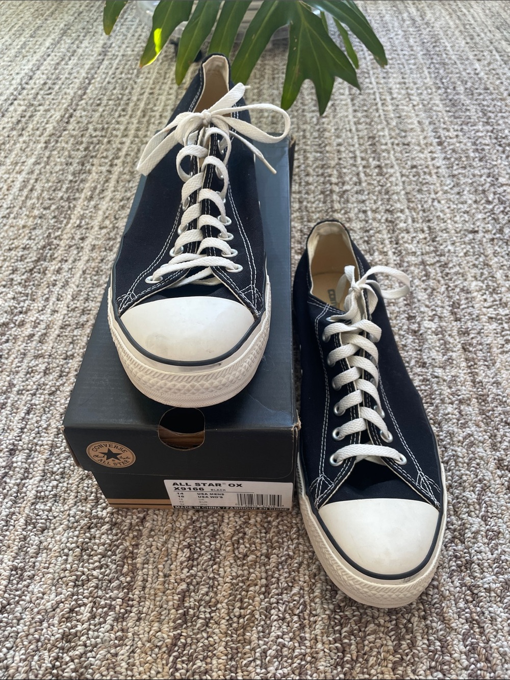 Converse Black Canvas Low-Top Sneakers with White Accents